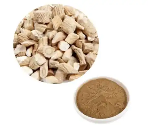 Isatis Root Extract for Antiviral and Detox Support